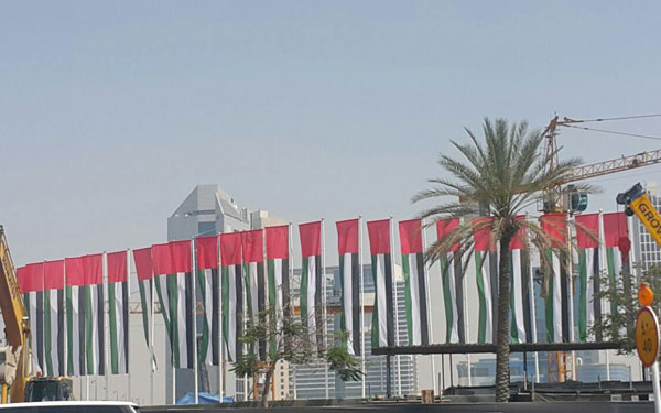 flags printing & installation